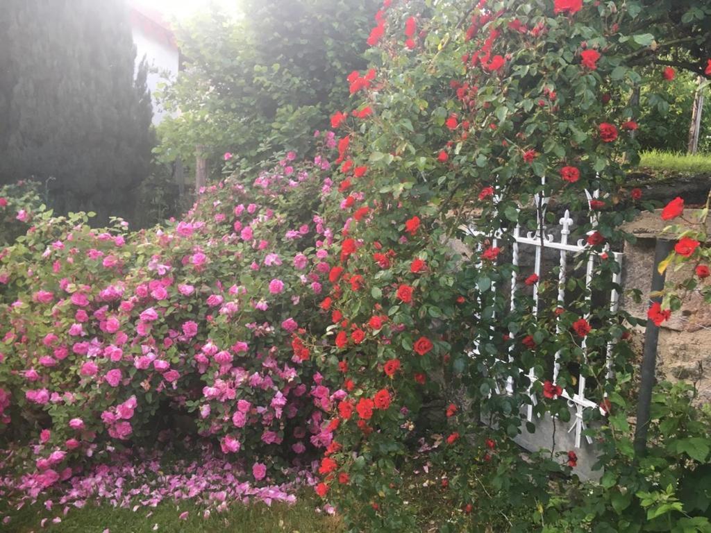 Chateau De La Chabroulie Bed & Breakfast Isle Bagian luar foto