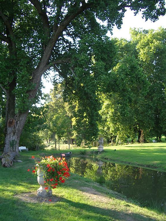 Chateau De La Chabroulie Bed & Breakfast Isle Bagian luar foto